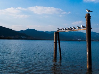 20111126-L1060370.jpg