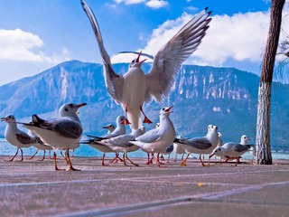 20111128-L1060431.jpg