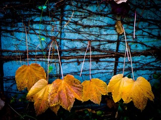 20111121-L1060267.jpg