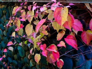 20111121-L1060269.jpg
