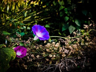 20111126-20111126-L1060356.jpg
