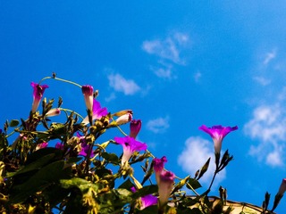 20111126-L1060355.jpg