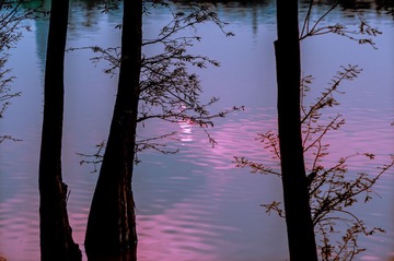 20130312-20130312-_BNP2616.jpg