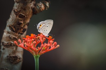20130527-_BNP5941.jpg