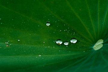 20130624-_BNP6168.jpg