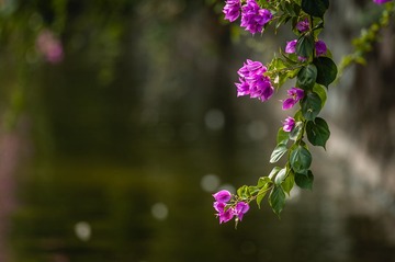 20131029-_BNP7608