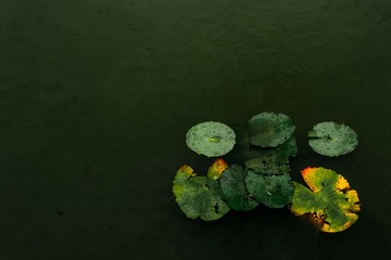 20140508-L1070233
