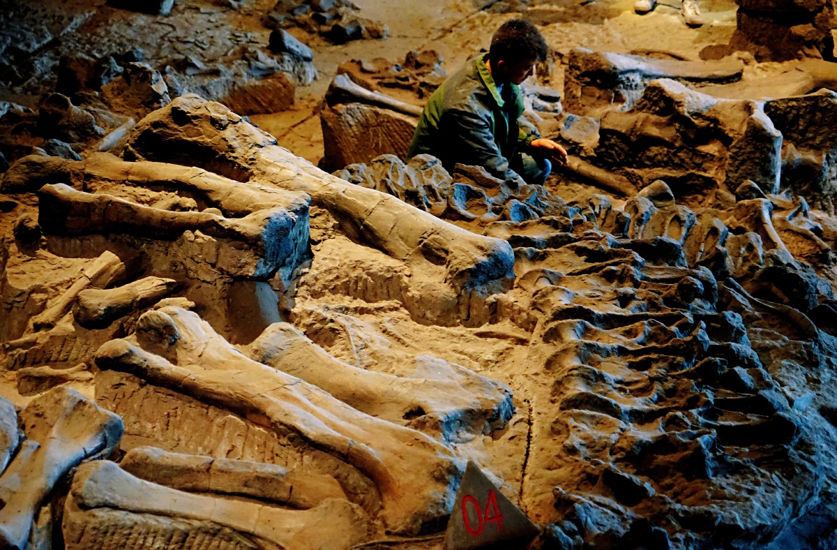 四川自贡.恐龙发掘现场