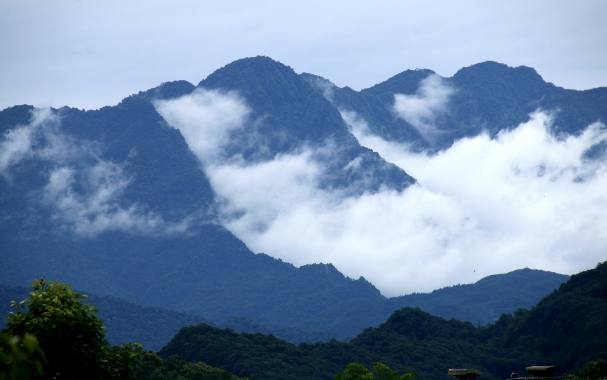 云雾中的青城山