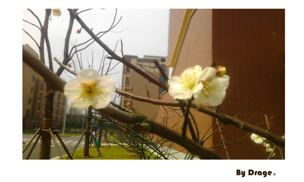 春天快到了。。。<br />
