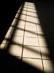 _DSC0119