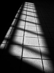 _DSC0119-编辑
