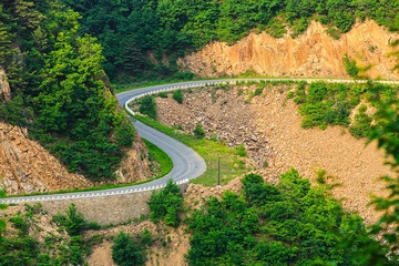 蜿蜒的旅途