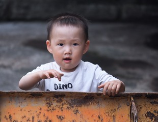 27315