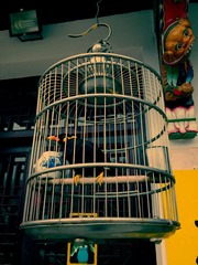 C360_2012-09-23-11-54-57_org.jpg