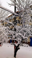 C360_2013-02-19-07-27-27-455.jpg