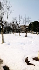C360_2013-02-19-13-18-09-821.jpg