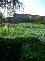 DSC_0008.JPG