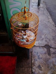 DSC_0192.JPG