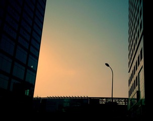 DSC_0305.JPG