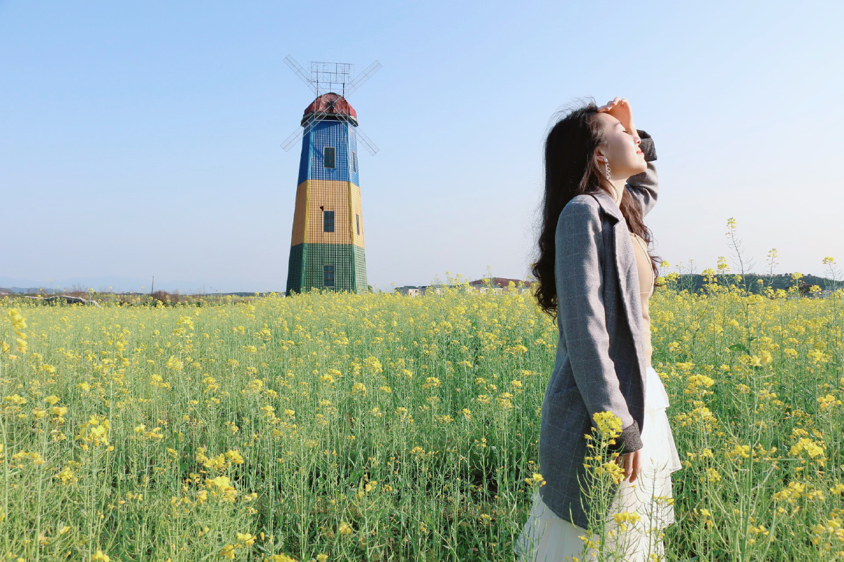 在疲倦的日子里就要有些温柔的梦想