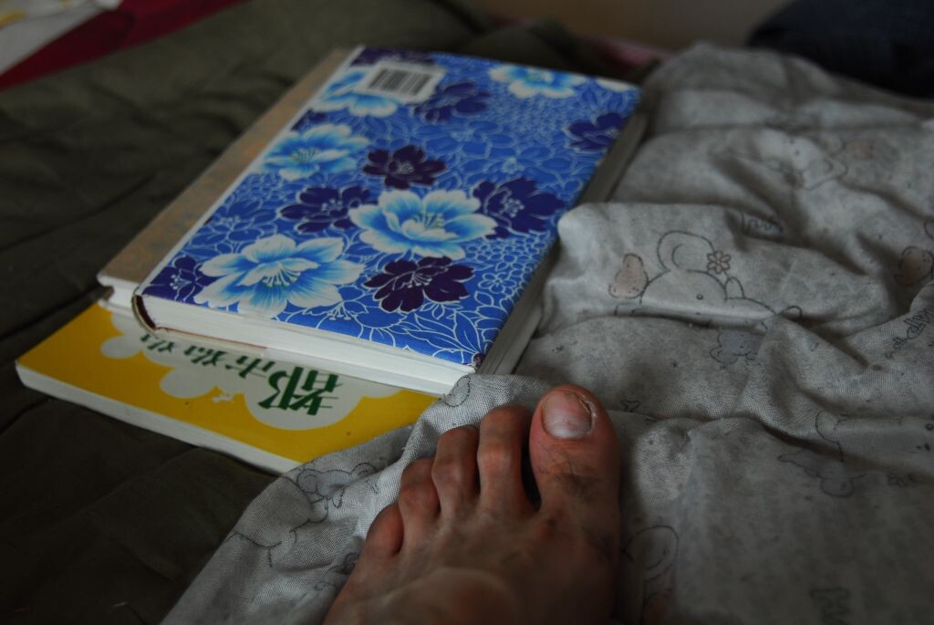 CHY_0112<br />
张爱玲的书和我的臭脚