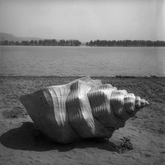 1600603