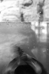CHY_2651