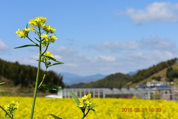 627742