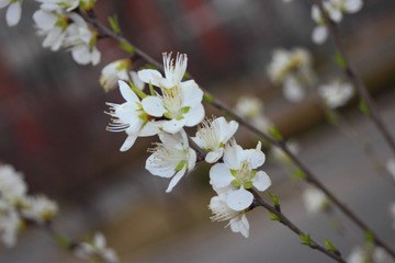 jpg0011.JPG