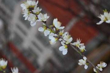 jpg0012.JPG