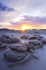 DSC05375-编辑-编辑.jpg