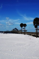Clearwater beach in Tampa