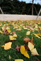 DSC_2093.jpg