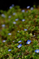 DSC_5007.jpg