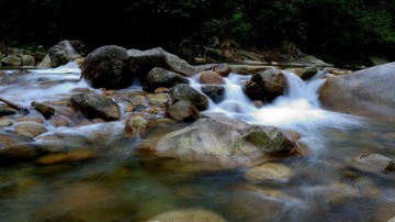 DSC_5181a.jpg