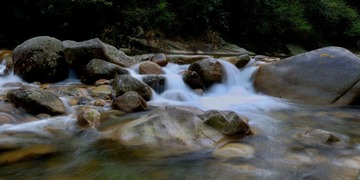 DSC_5185.jpg