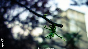 _DSC1506_副本.jpg
