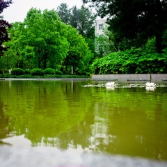 DSC02258.jpg