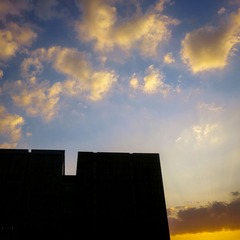 _DSC3113.jpg