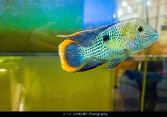 _DSC9763_