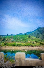 _DSC4788-编辑