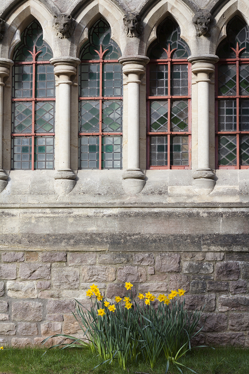 墙角- nutcrackers - 图虫网 - 最好的摄影师都在这