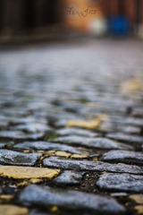 _MG_9704.jpg
