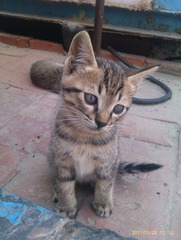 IMAG0345.jpg