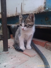 IMAG0320.jpg