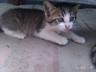 IMAG0325.jpg