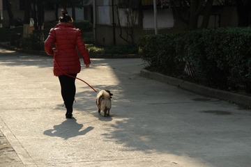 DSC00152-1_