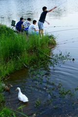 DSC08525-r
