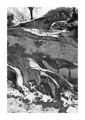 L1000394